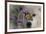 Monarch and Wolf-Gordon Semmens-Framed Photographic Print