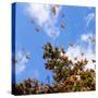 Monarch Butterflies on Tree Branch in Blue Sky Background in Michoacan, Mexico-JHVEPhoto-Stretched Canvas