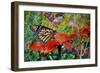 Monarch Butterfly, 2019, (Watercolor)-Anthony Butera-Framed Giclee Print