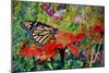 Monarch Butterfly, 2019, (Watercolor)-Anthony Butera-Mounted Giclee Print