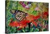 Monarch Butterfly, 2019, (Watercolor)-Anthony Butera-Stretched Canvas