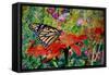Monarch Butterfly, 2019, (Watercolor)-Anthony Butera-Framed Stretched Canvas