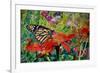 Monarch Butterfly, 2019, (Watercolor)-Anthony Butera-Framed Giclee Print