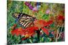 Monarch Butterfly, 2019, (Watercolor)-Anthony Butera-Mounted Giclee Print