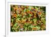 Monarch Butterfly Biosphere Reserve, Michoacan (Mexico)-Noradoa-Framed Photographic Print