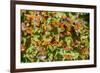 Monarch Butterfly Biosphere Reserve, Michoacan (Mexico)-Noradoa-Framed Photographic Print