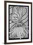 Monarch Butterfly - Coloring Book - Lantern Press Artwork-Lantern Press-Framed Art Print