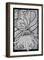 Monarch Butterfly - Coloring Book - Lantern Press Artwork-Lantern Press-Framed Art Print