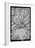 Monarch Butterfly - Coloring Book - Lantern Press Artwork-Lantern Press-Framed Art Print