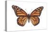 Monarch Butterfly (Danaus Plexippus), Milkweed Butterfly, Insects-Encyclopaedia Britannica-Stretched Canvas