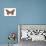 Monarch Butterfly (Danaus Plexippus), Milkweed Butterfly, Insects-Encyclopaedia Britannica-Poster displayed on a wall