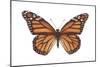 Monarch Butterfly (Danaus Plexippus), Milkweed Butterfly, Insects-Encyclopaedia Britannica-Mounted Poster