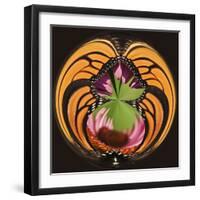 Monarch Butterfly on Cone Flower, Louisville, Kentucky, USA-Adam Jones-Framed Photographic Print