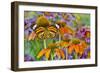 Monarch butterfly on orange coneflowers and painted tongue-Darrell Gulin-Framed Photographic Print