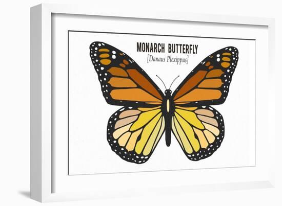 Monarch Butterfly - Specimen  - Lantern Press Artwork-Lantern Press-Framed Art Print