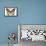 Monarch Butterfly - Specimen  - Lantern Press Artwork-Lantern Press-Framed Stretched Canvas displayed on a wall