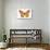 Monarch Butterfly-null-Stretched Canvas displayed on a wall