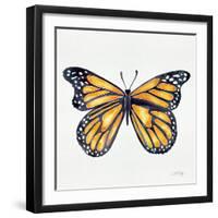 Monarch Butterfly-Cat Coquillette-Framed Giclee Print