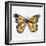 Monarch Butterfly-Cat Coquillette-Framed Giclee Print