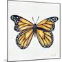 Monarch Butterfly-Cat Coquillette-Mounted Giclee Print