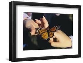 Monarch Butterfly-DLILLC-Framed Photographic Print