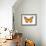 Monarch Butterfly-null-Framed Photographic Print displayed on a wall