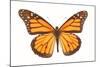 Monarch Butterfly-null-Mounted Photographic Print