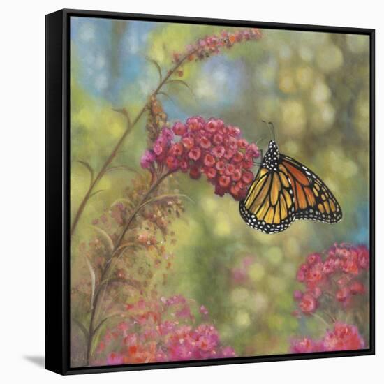 Monarch Butterfly-John Zaccheo-Framed Stretched Canvas