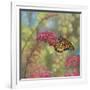 Monarch Butterfly-John Zaccheo-Framed Giclee Print