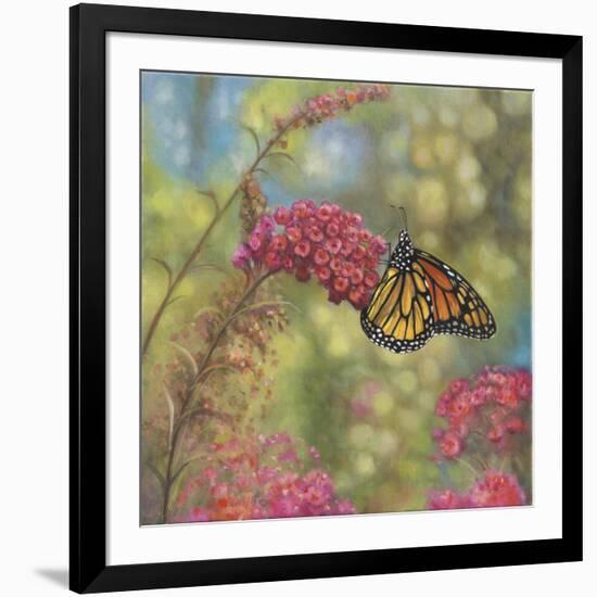 Monarch Butterfly-John Zaccheo-Framed Giclee Print