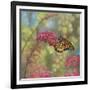 Monarch Butterfly-John Zaccheo-Framed Giclee Print