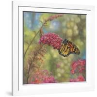 Monarch Butterfly-John Zaccheo-Framed Giclee Print