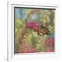 Monarch Butterfly-John Zaccheo-Framed Giclee Print