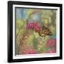 Monarch Butterfly-John Zaccheo-Framed Giclee Print