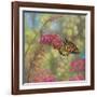 Monarch Butterfly-John Zaccheo-Framed Giclee Print