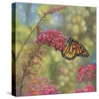 Monarch Butterfly-John Zaccheo-Stretched Canvas