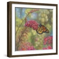 Monarch Butterfly-John Zaccheo-Framed Giclee Print