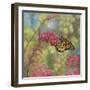 Monarch Butterfly-John Zaccheo-Framed Giclee Print