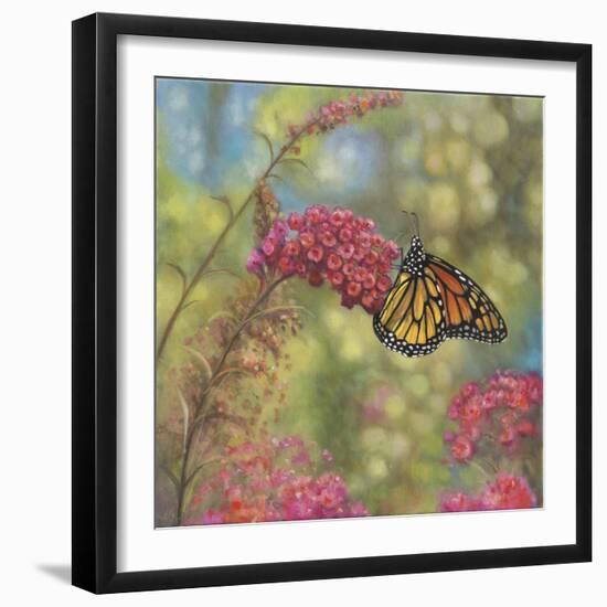 Monarch Butterfly-John Zaccheo-Framed Giclee Print