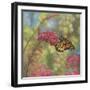 Monarch Butterfly-John Zaccheo-Framed Giclee Print