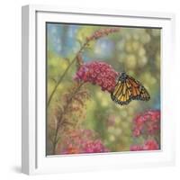 Monarch Butterfly-John Zaccheo-Framed Giclee Print