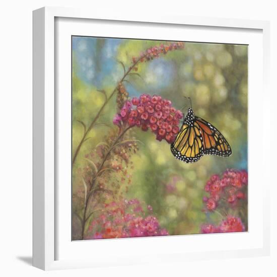 Monarch Butterfly-John Zaccheo-Framed Giclee Print