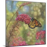 Monarch Butterfly-John Zaccheo-Mounted Giclee Print