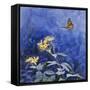 Monarch Butterfly-Rusty Frentner-Framed Stretched Canvas