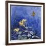 Monarch Butterfly-Rusty Frentner-Framed Giclee Print