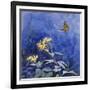 Monarch Butterfly-Rusty Frentner-Framed Giclee Print