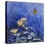 Monarch Butterfly-Rusty Frentner-Stretched Canvas