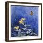 Monarch Butterfly-Rusty Frentner-Framed Giclee Print