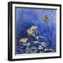 Monarch Butterfly-Rusty Frentner-Framed Giclee Print