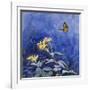 Monarch Butterfly-Rusty Frentner-Framed Giclee Print